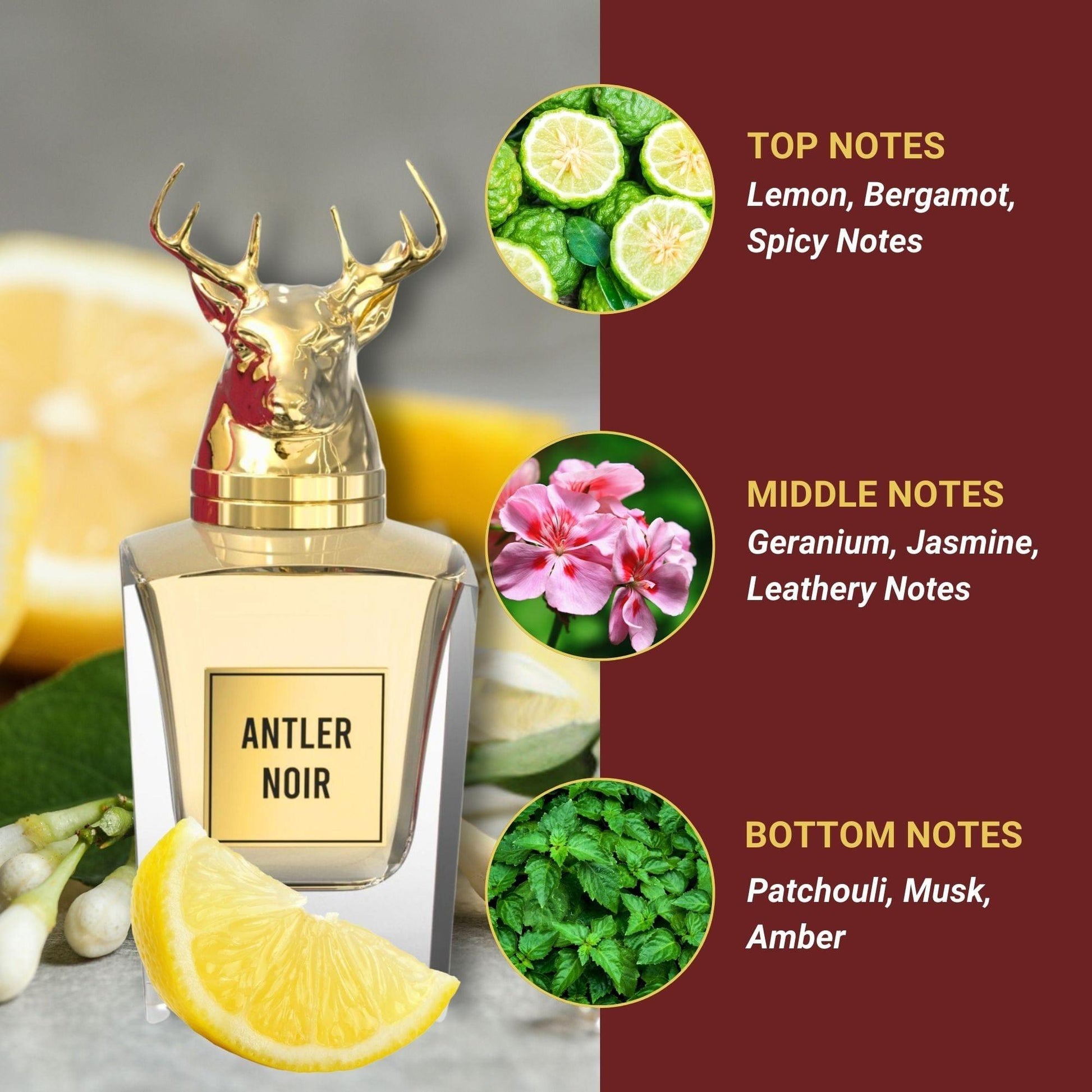 Antler Noir Silicone Non Alcoholic Perfume For Men Perfume SAIF AL FARES PERFUMES