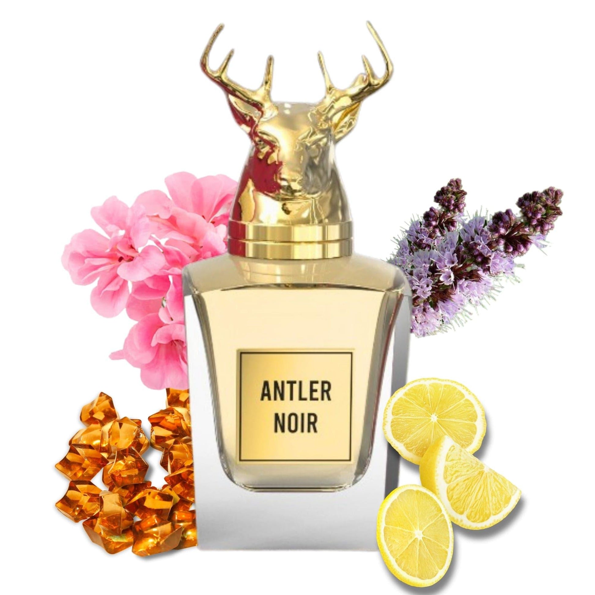 Antler Noir Silicone Non Alcoholic Perfume For Men Perfume SAIF AL FARES PERFUMES